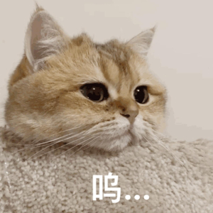 女同桌脱鞋子帮我脚交
